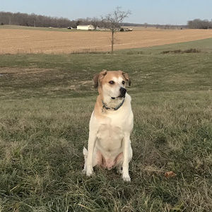 Meet your Posher, Isabella